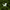 A small pale mint-green cat-shaped soap  resting on dense green moss.