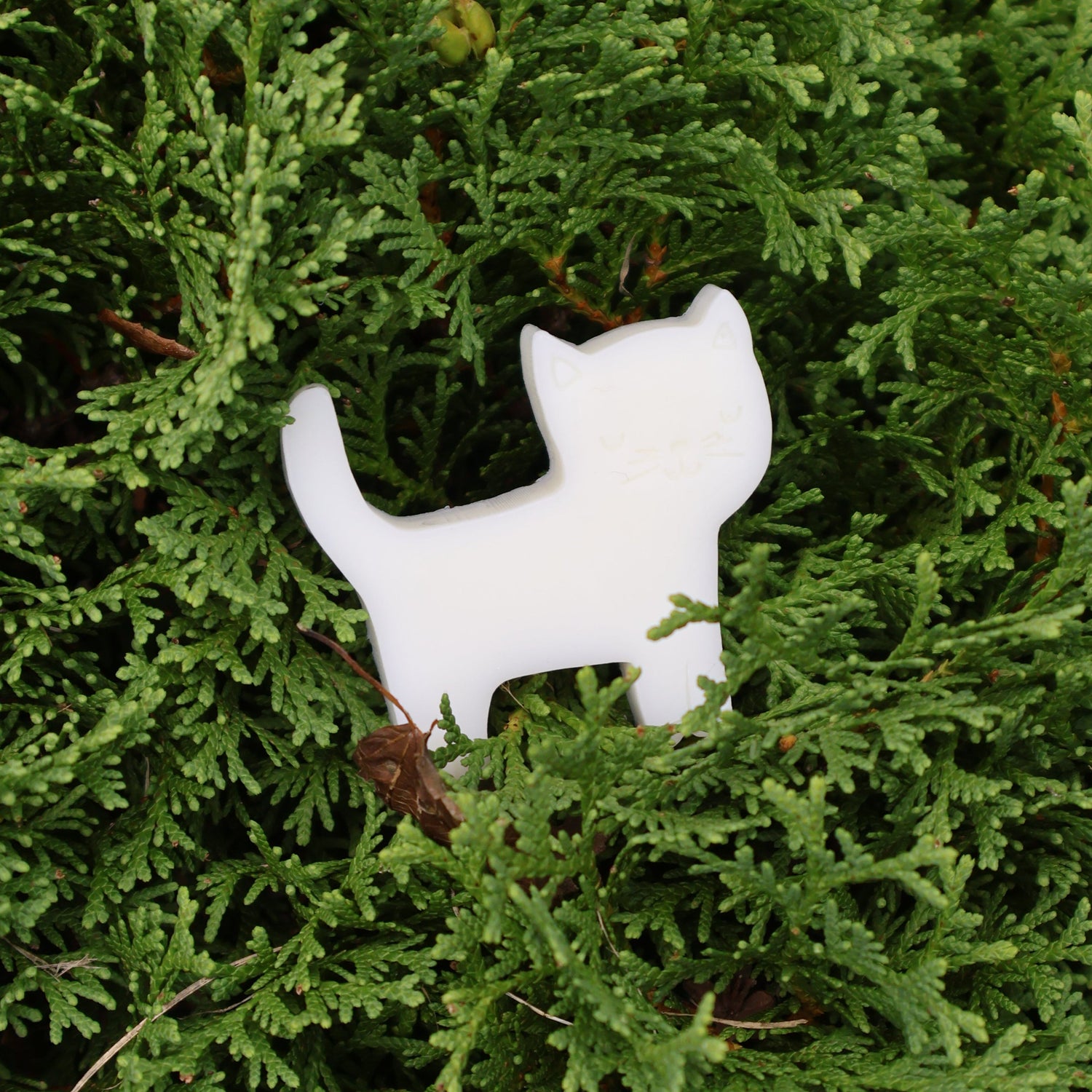 A small white cat-shaped soap placed on dense green foliage.