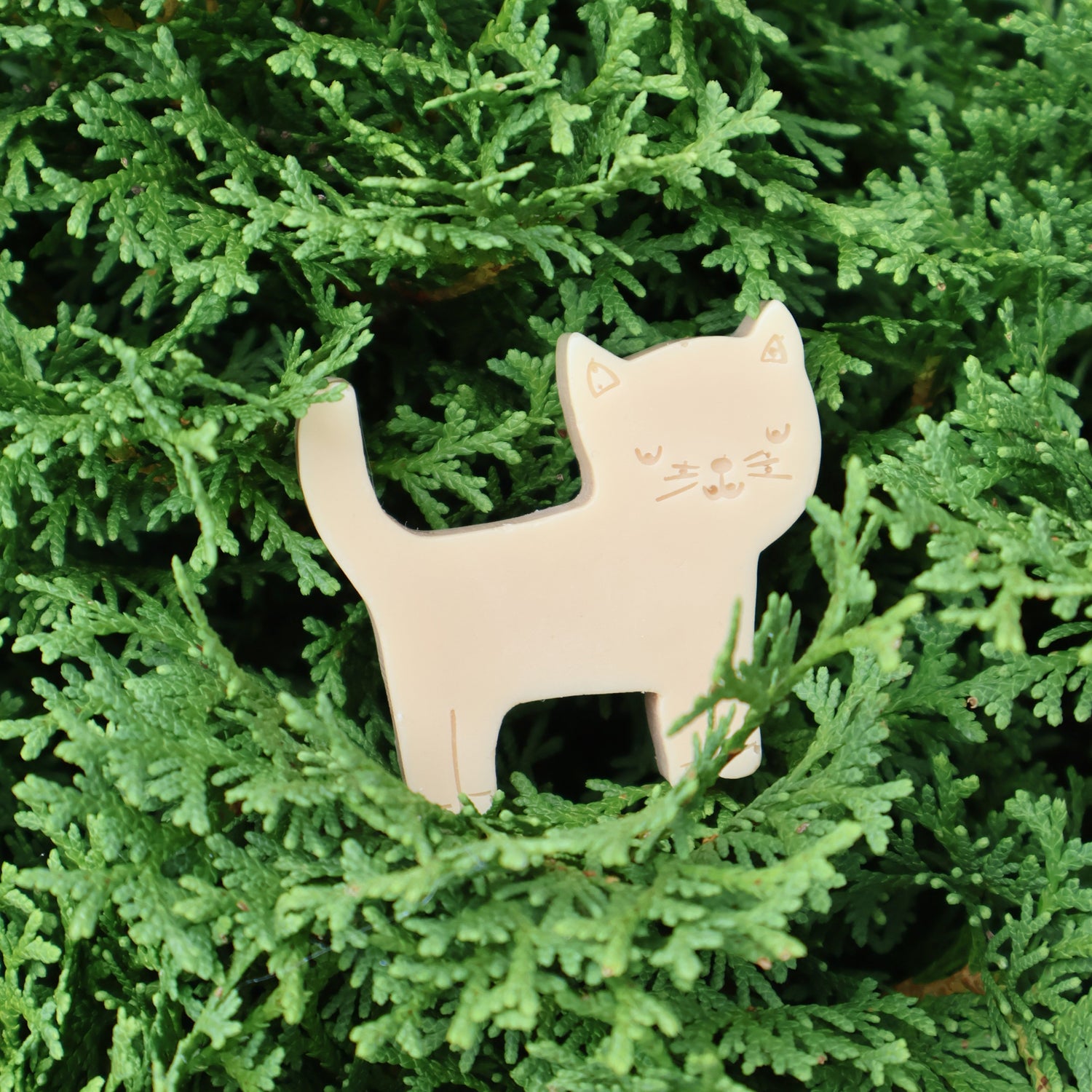 A small cat-shaped soap in a light natural beige color, nestled among dense green evergreen branches.