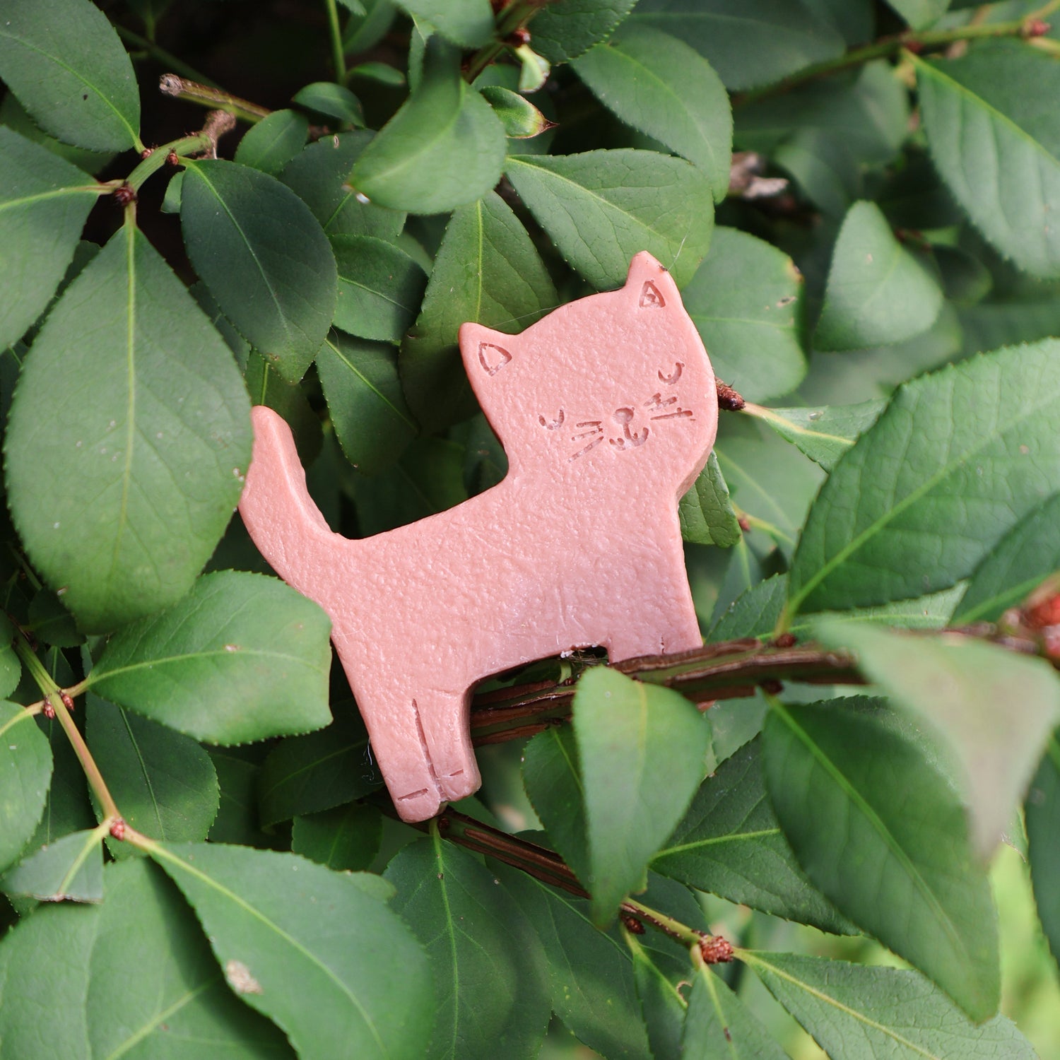 A brown cat-shaped soap is shown nestled among green leaves outdoors.